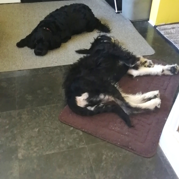 SALE, SALE, SALE - Picture 1 of 1